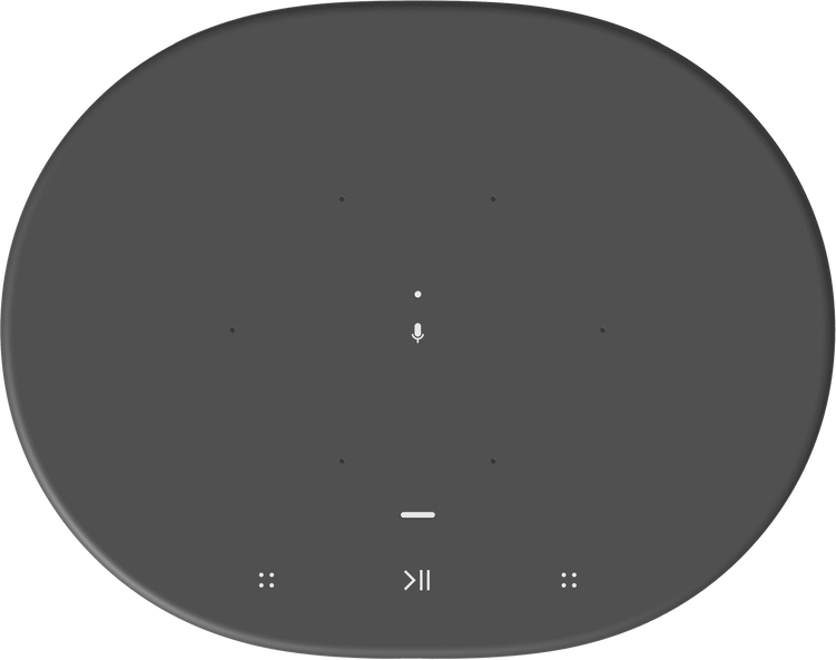 Sonos Portable Wireless Smart Speaker Move (B) - MOVE1US1BLK