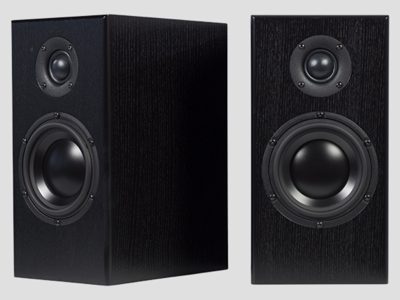 Totem Acoustic Bison 2-Way Monitor Speaker in Black Ash - BISON MONITOR (BA)