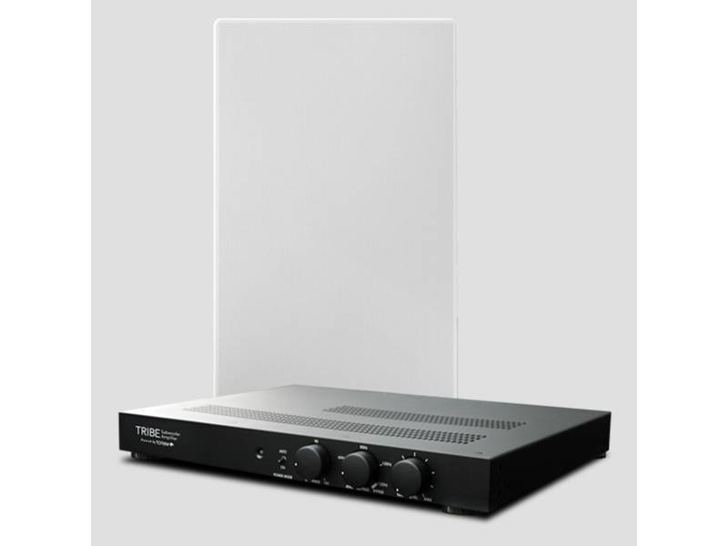 Totem Acoustic 12 Inch Tribe In-Wall Speaker - Tribe In-Wall Sub 12 (SW)