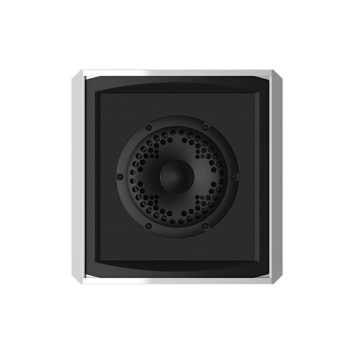 Coastal Source 2-Way Razor Satellite Outdoor Speaker - RZ110WT