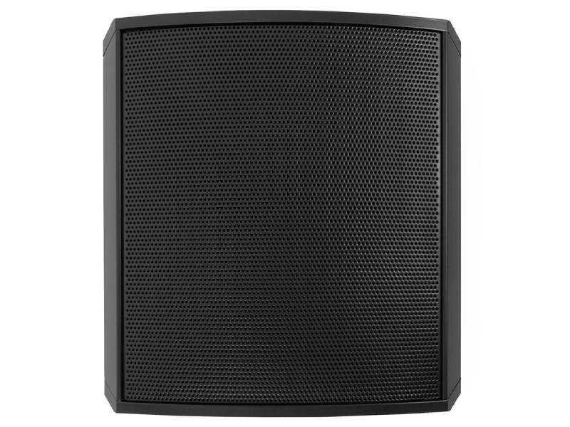 Coastal Source 2-Way Razor Satellite Outdoor Speaker - RZ110BK