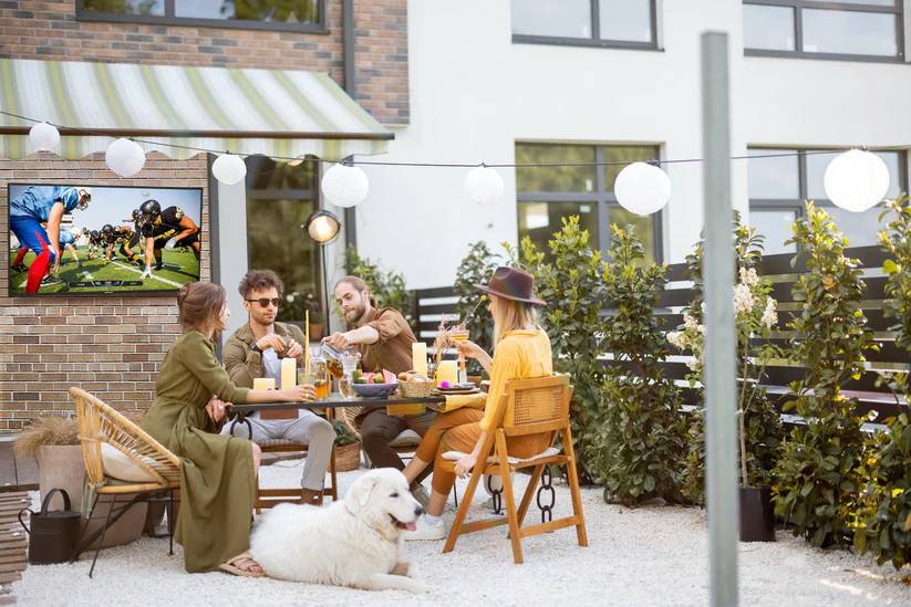 55" Neptune Partial Sun Outdoor Smart TV - NT553 (N)